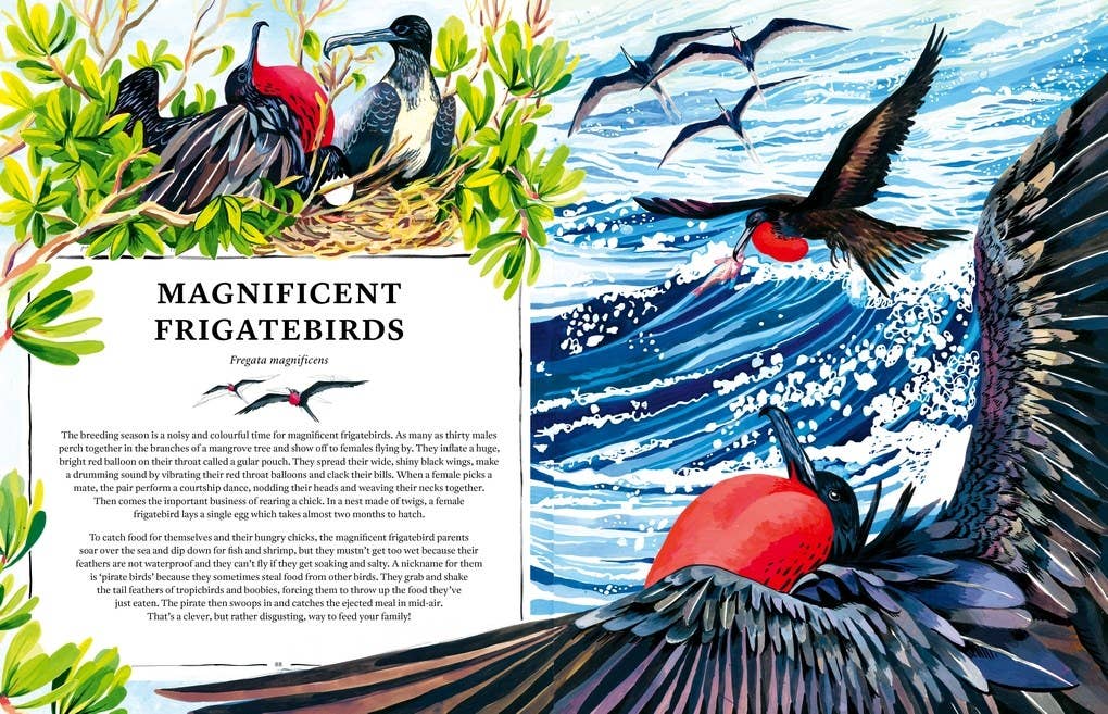 Oceanopedia