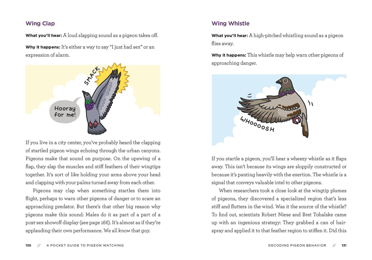 A Pocket Guide to Pigeon Watching: Trade Paperback
