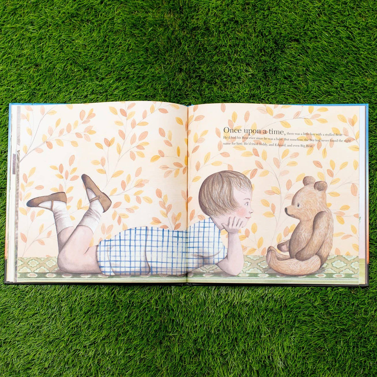 Finding Winnie: Hardcover
