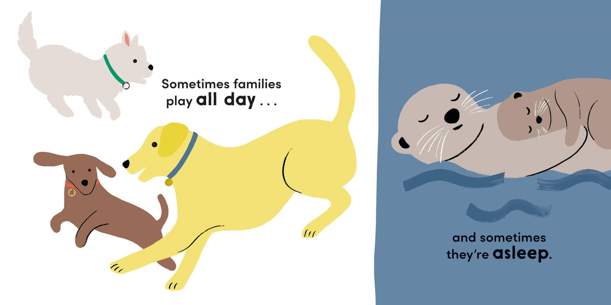 Sometimes Families . . .: Board Book