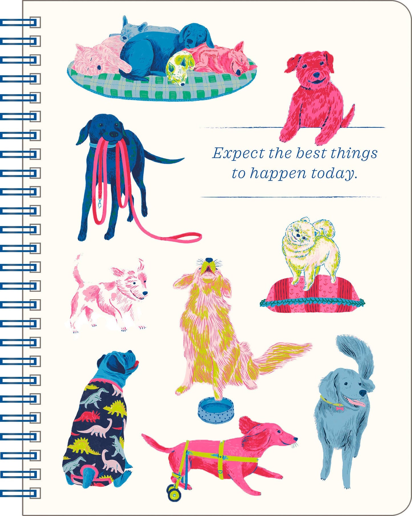 Spiral Ntbk: Expect the best things to happen today (dog)