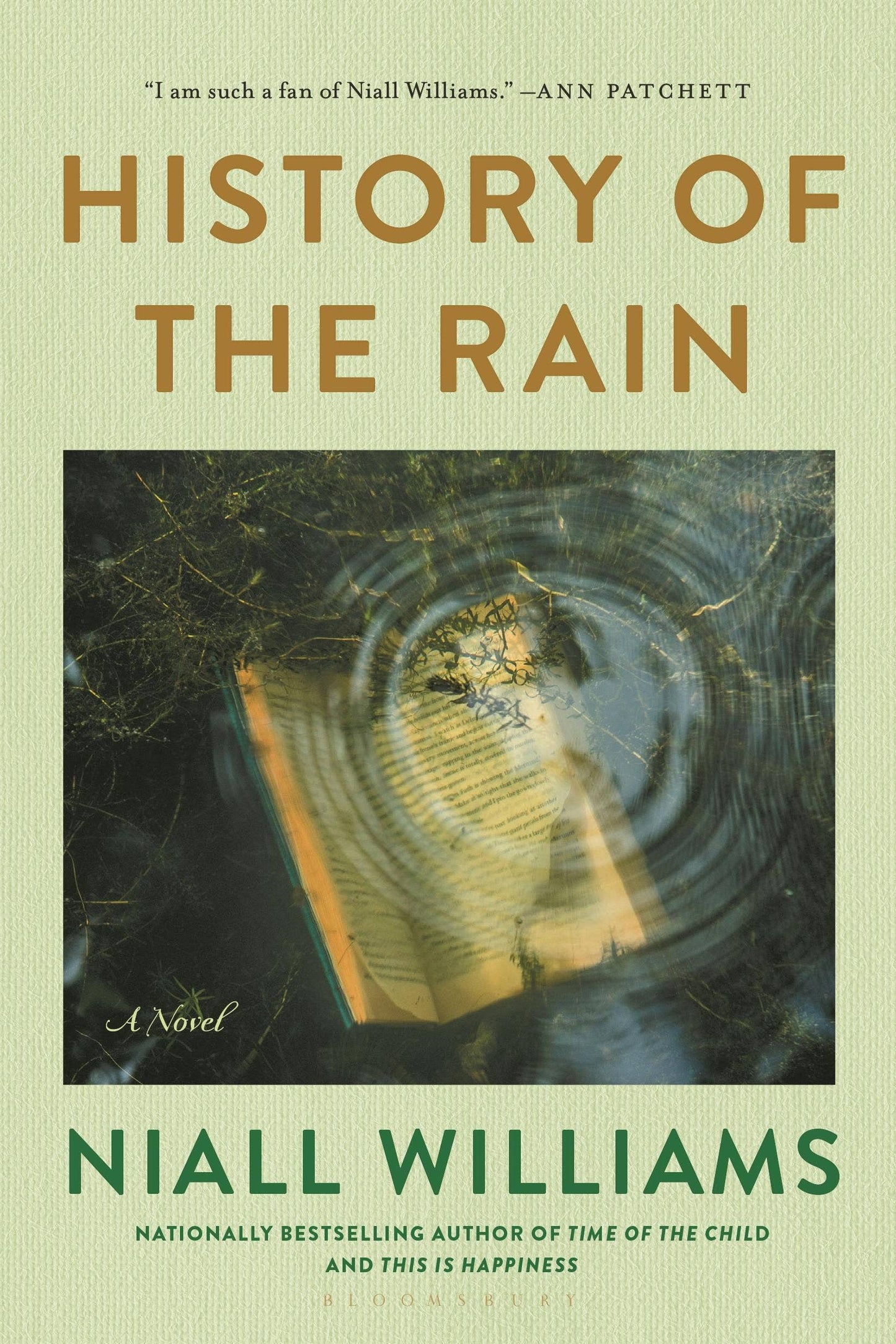 History Of The Rain A Novel