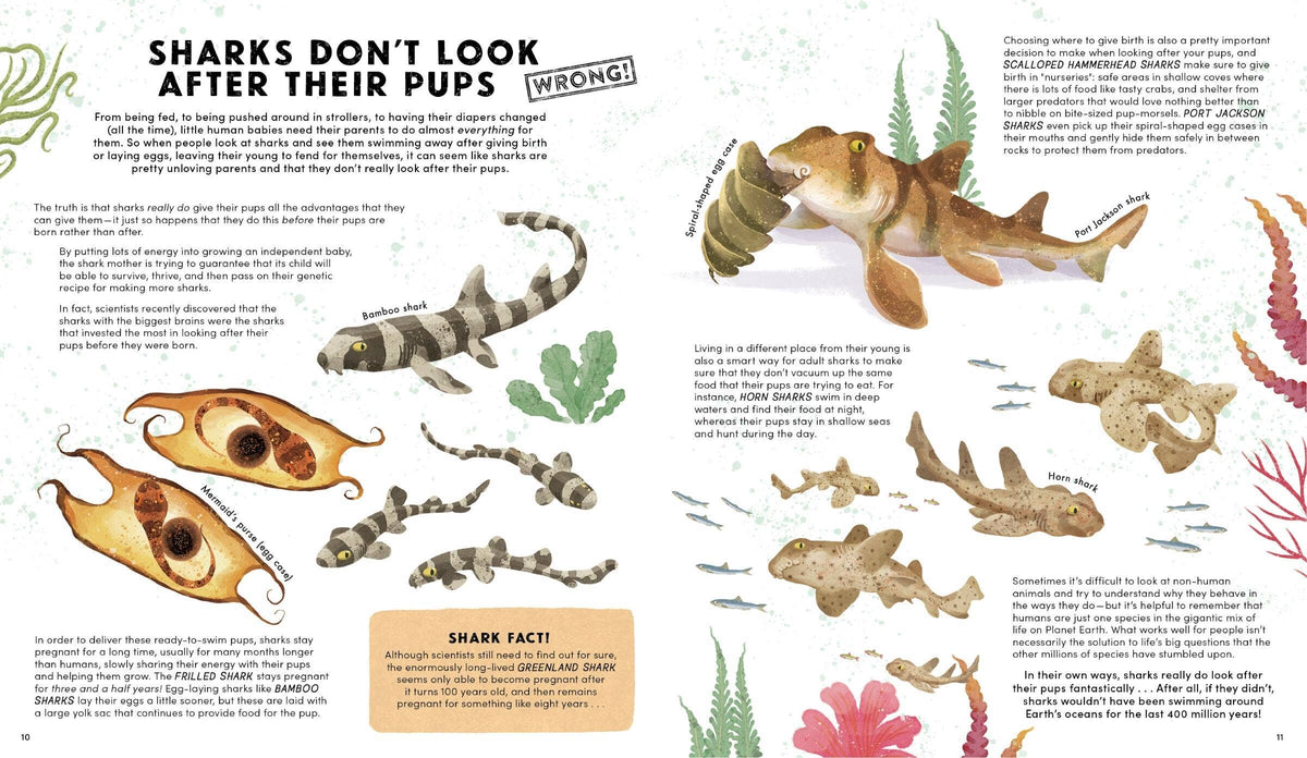 Everything You Know About Sharks Is Wrong!: Hardcover