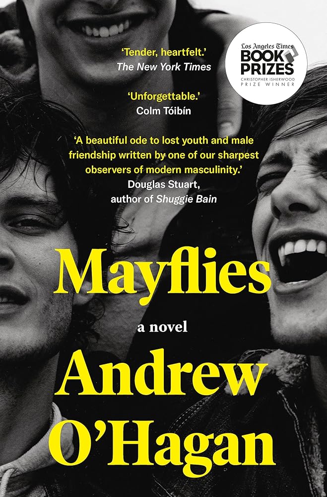 Mayflies: A Novel cover image