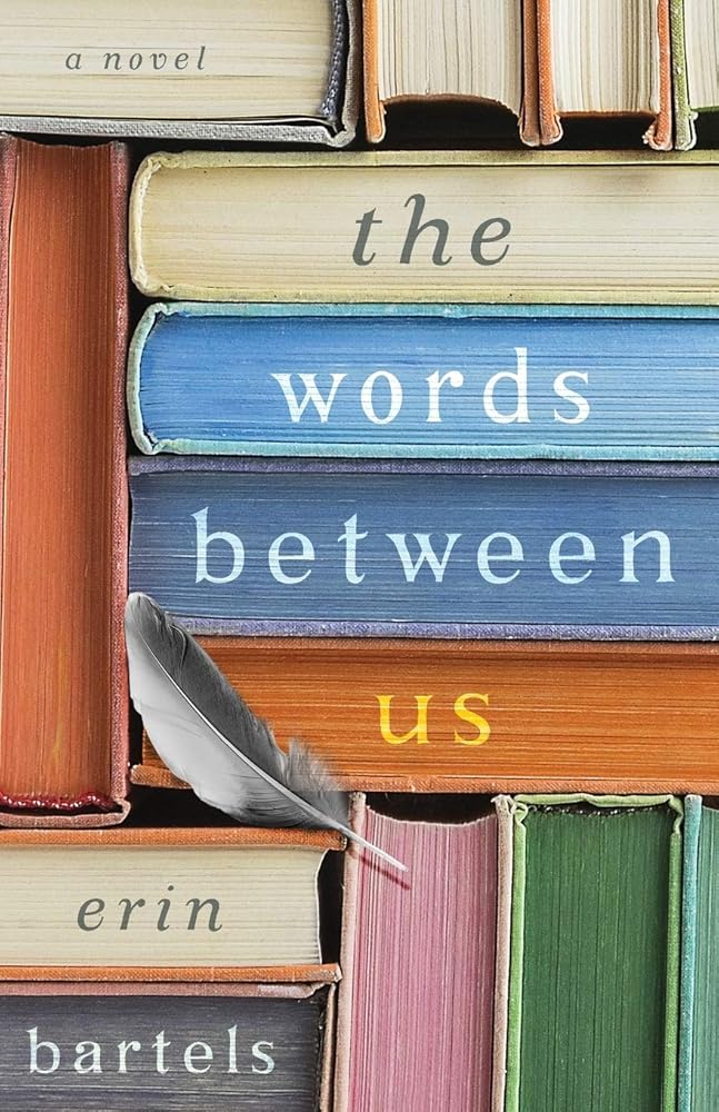 The Words between Us: A Novel cover image