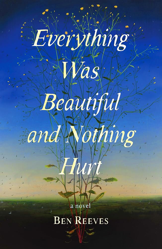 Everything Was Beautiful and Nothing Hurt: A Novel cover image