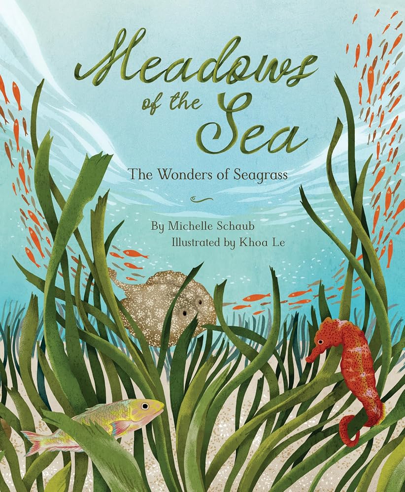 Meadows of the Sea: The Wonders of Seagrass cover image