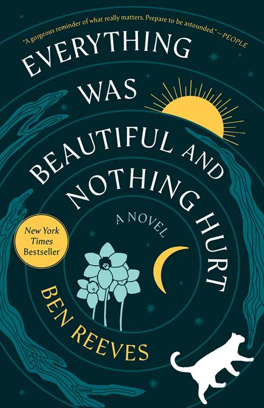 Everything Was Beautiful and Nothing Hurt by Ben Reeves: Hardcover; 256 pages / English