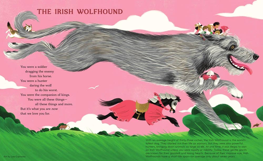 Best in Show : David Elliott