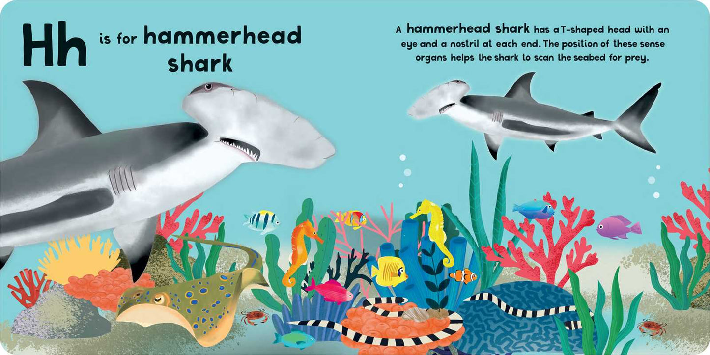 A-Z of Sharks by Editors of Silver Dolphin Books: Board Books; 30 pages / English