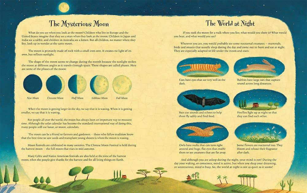 I Took the Moon for a Walk: Board Book