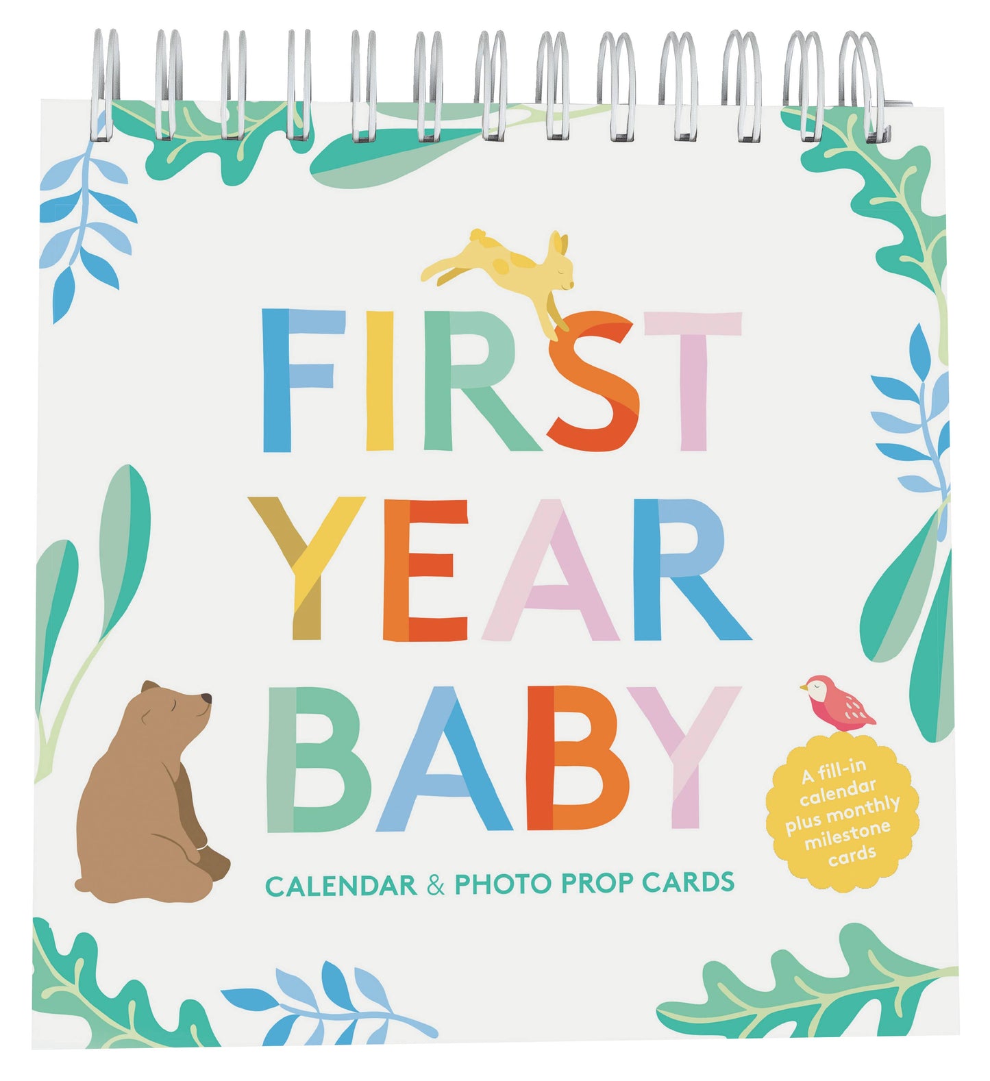 First Year Baby Calendar & Photo Prop Cards
