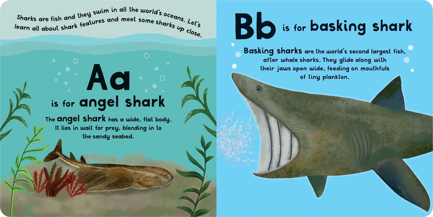 A-Z of Sharks by Editors of Silver Dolphin Books: Board Books; 30 pages / English