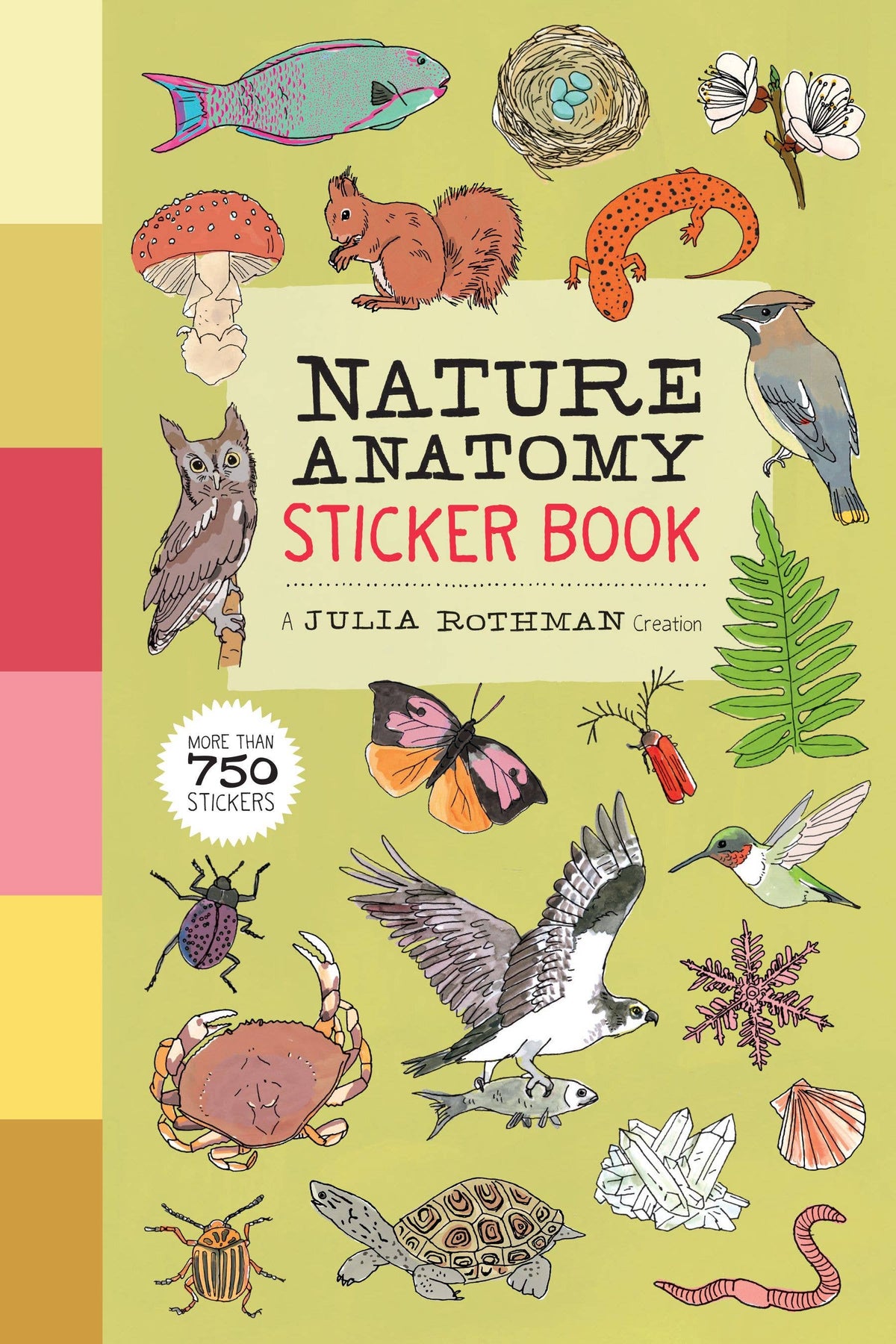 Nature Anatomy Sticker Book: Trade Paperback