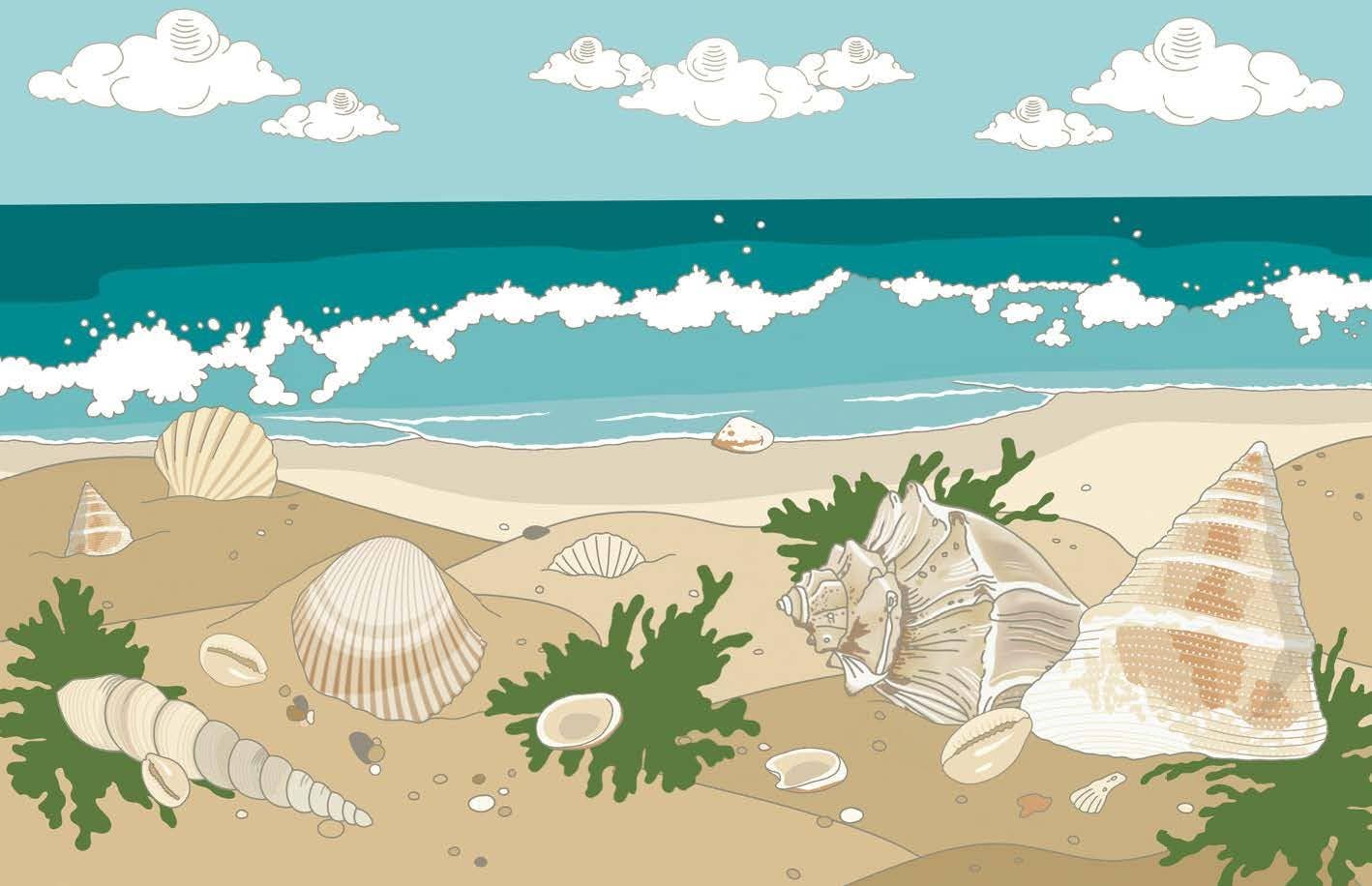 Shells
