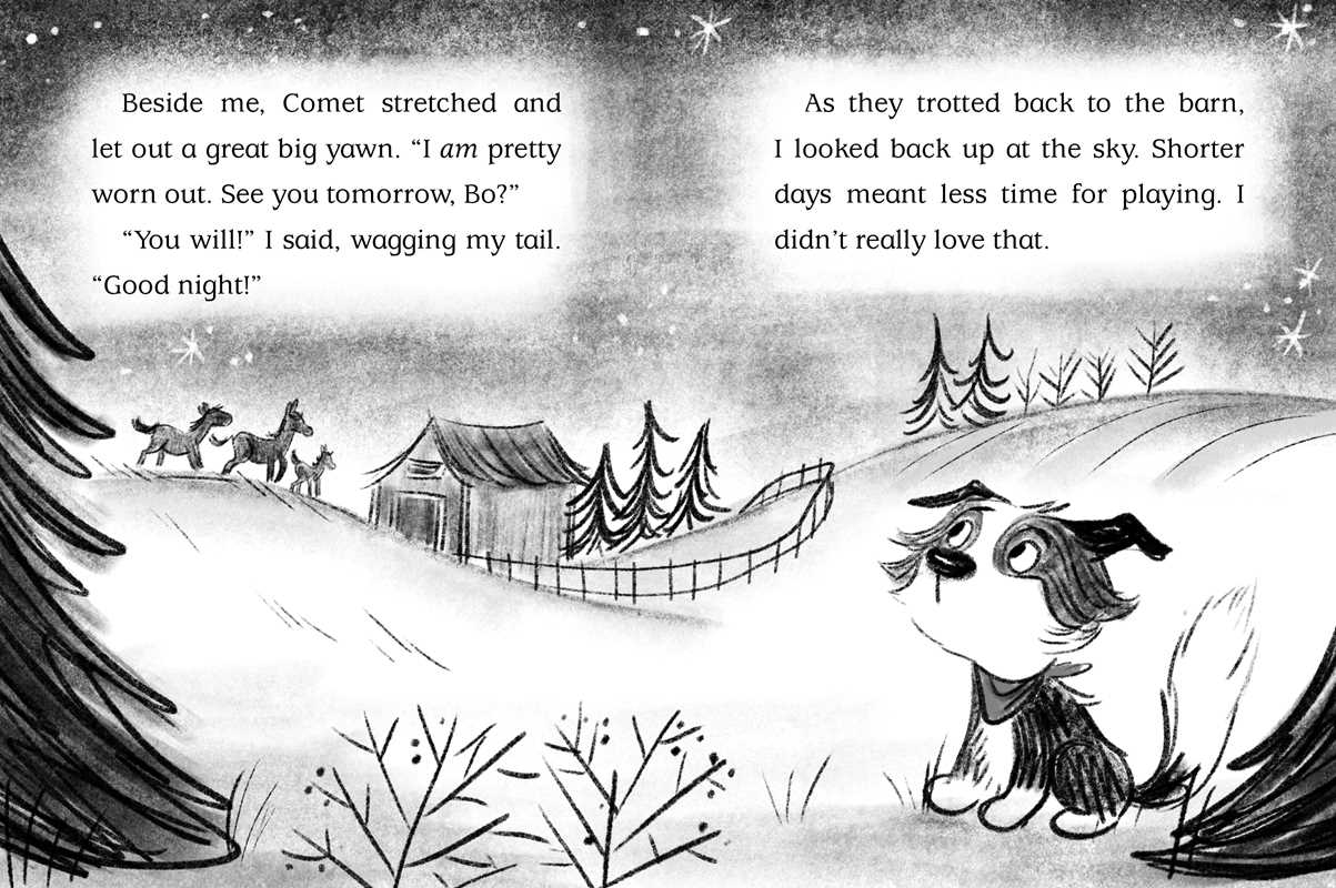 Snow Show by Cam Higgins: Paperback; 128 pages / English