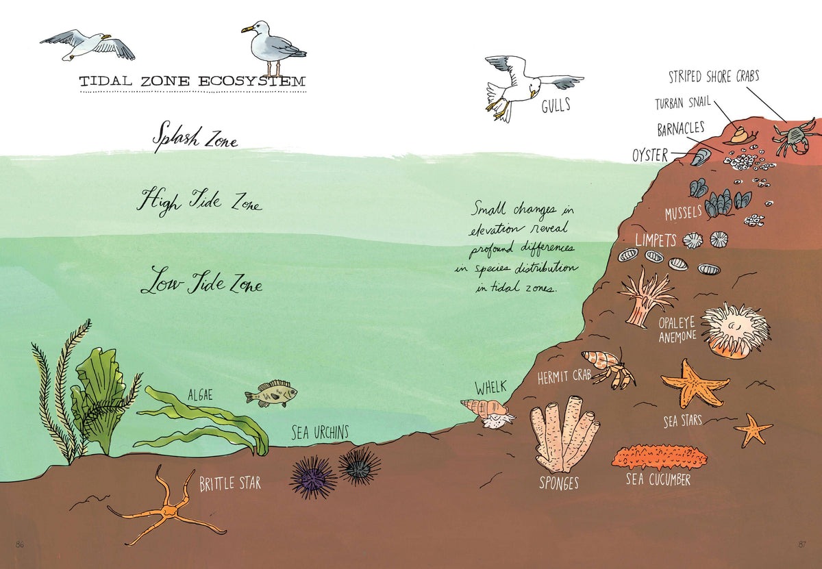 Ocean Anatomy: The Curious Parts & Pieces: Trade Paperback
