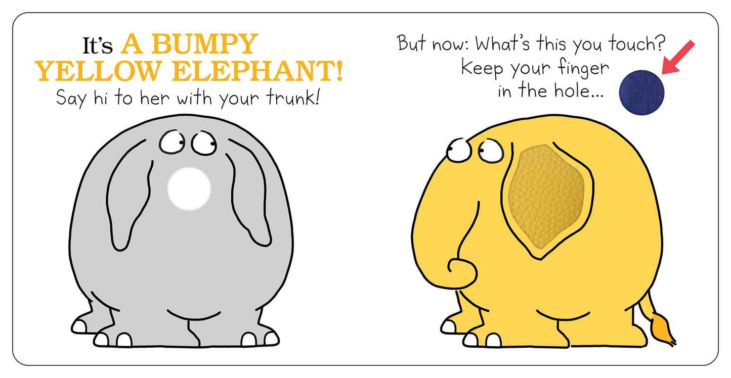 Hey! What's That? by Sandra Boynton: Board Books; 14 pages / English