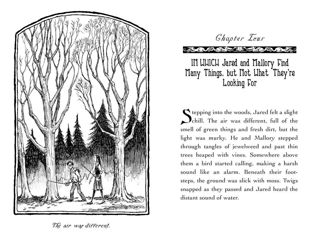 Seeing Stone by Tony DiTerlizzi: Hardcover; 128 pages / English