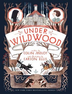 Under Wildwood : Colin Meloy