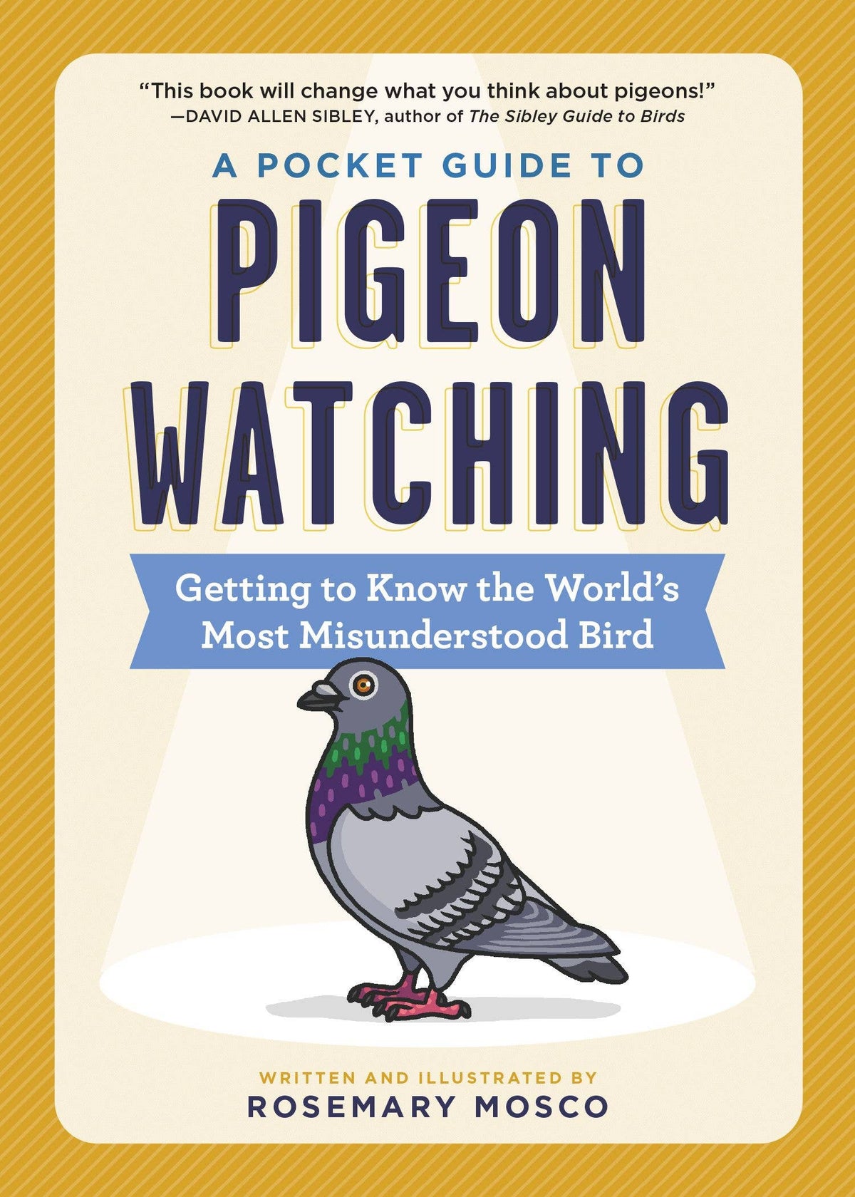 A Pocket Guide to Pigeon Watching: Trade Paperback
