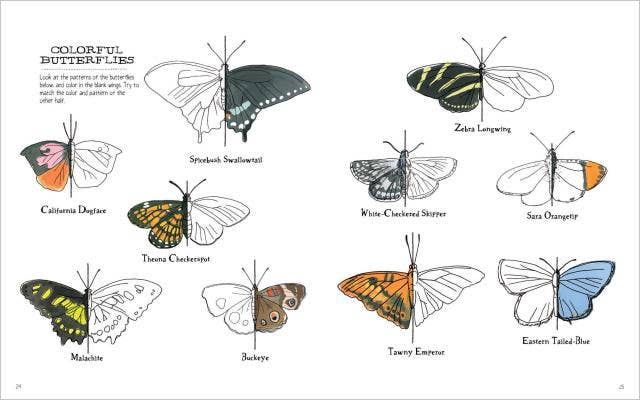 Nature Anatomy Activity Book: Trade Paperback