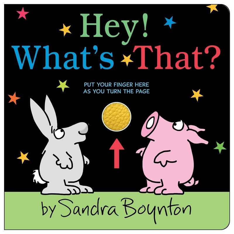 Hey! What's That? by Sandra Boynton: Board Books; 14 pages / English