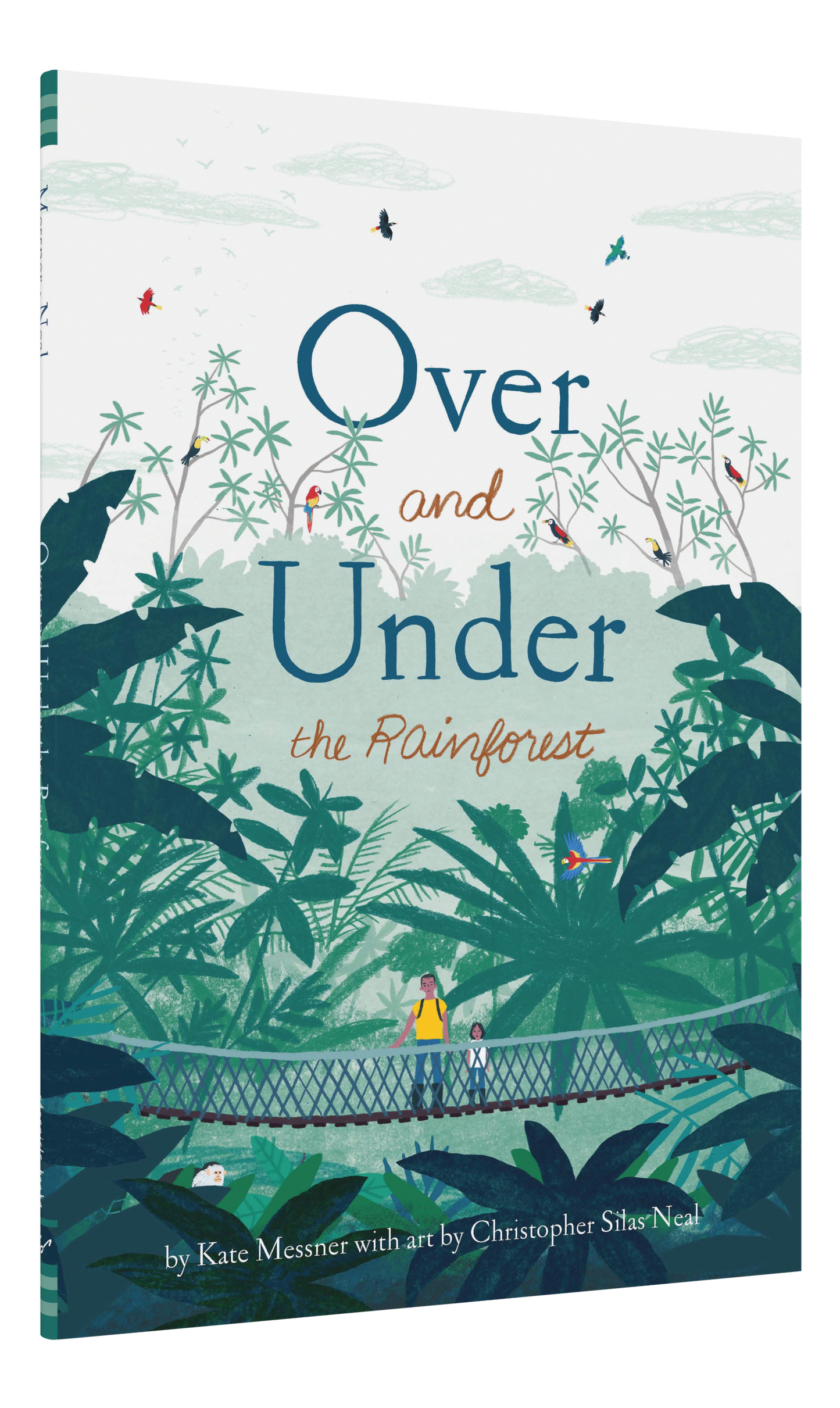 Over and Under the Rainforest