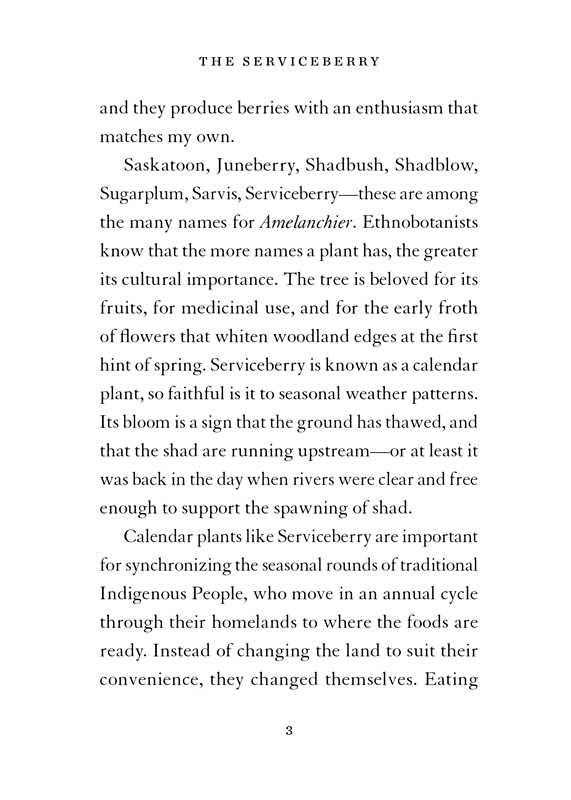 Serviceberry