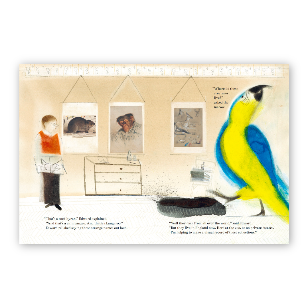 The Boy Who Became a Parrot