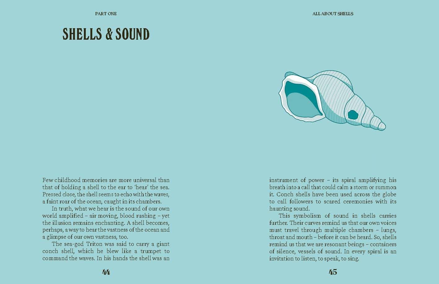 Shells