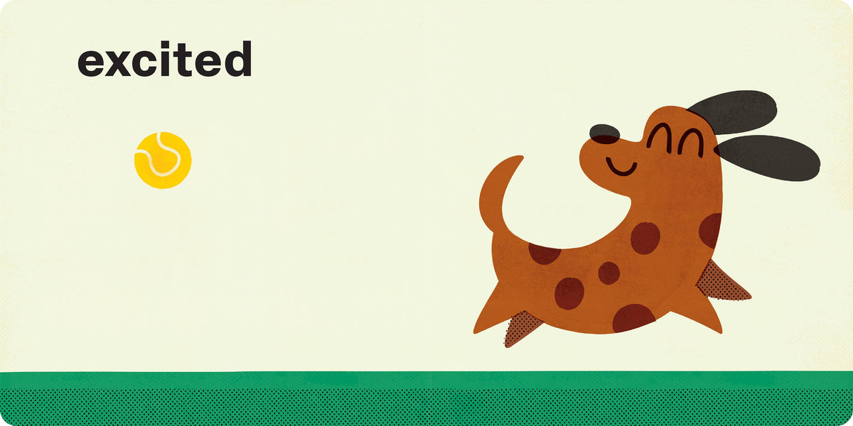 Spring Street All About Us: Feelings: Board Book