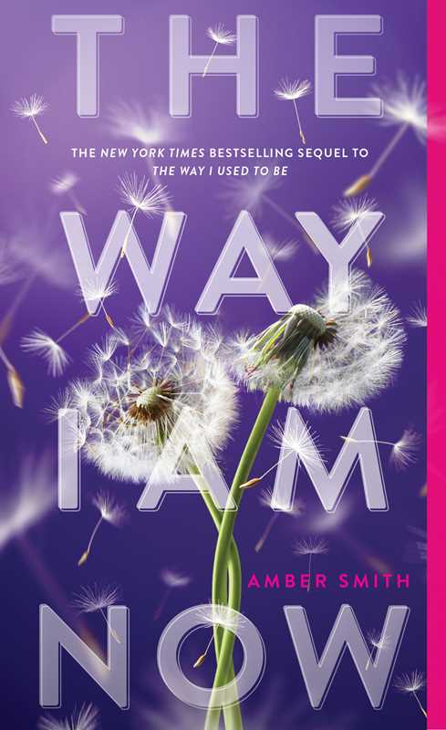 Way I Am Now by Amber Smith: Paperback; 448 pages / English