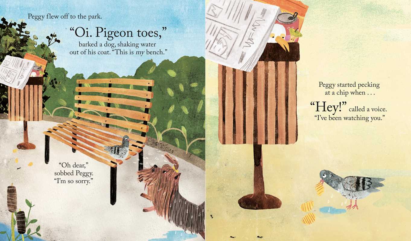 Peggy the Always Sorry Pigeon by Wendy Meddour: Hardcover; 32 pages / English