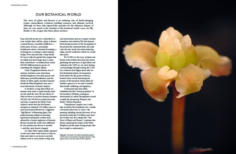 Botanical Bible