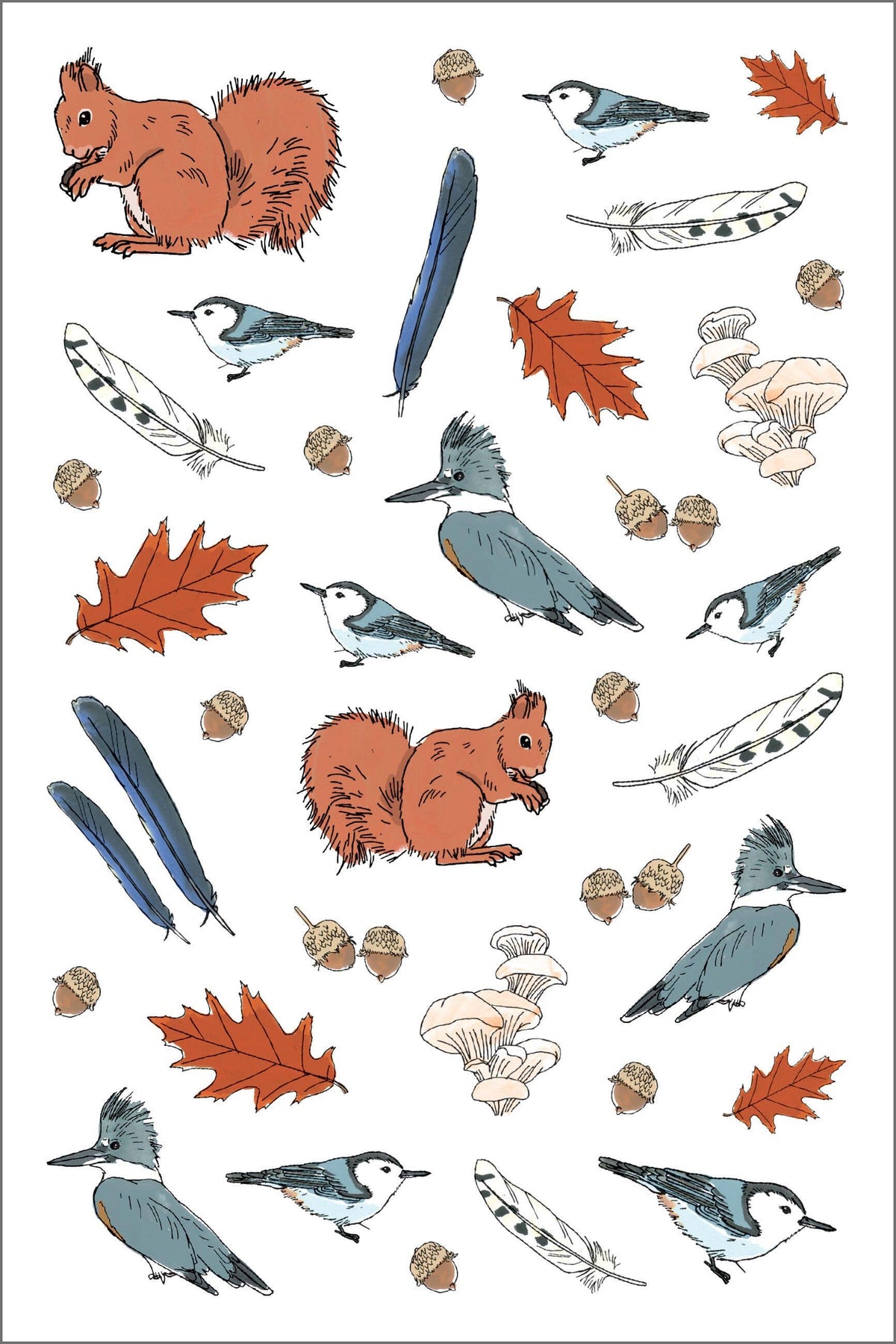 Nature Anatomy Sticker Book: Trade Paperback