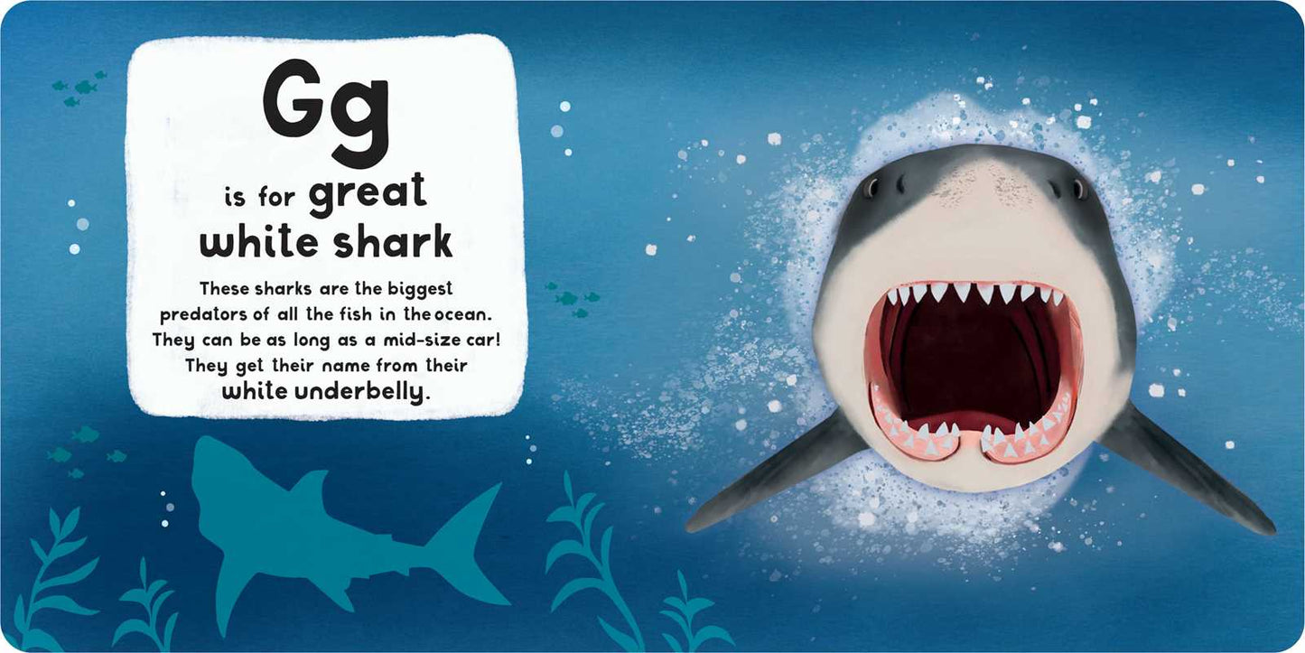 A-Z of Sharks by Editors of Silver Dolphin Books: Board Books; 30 pages / English