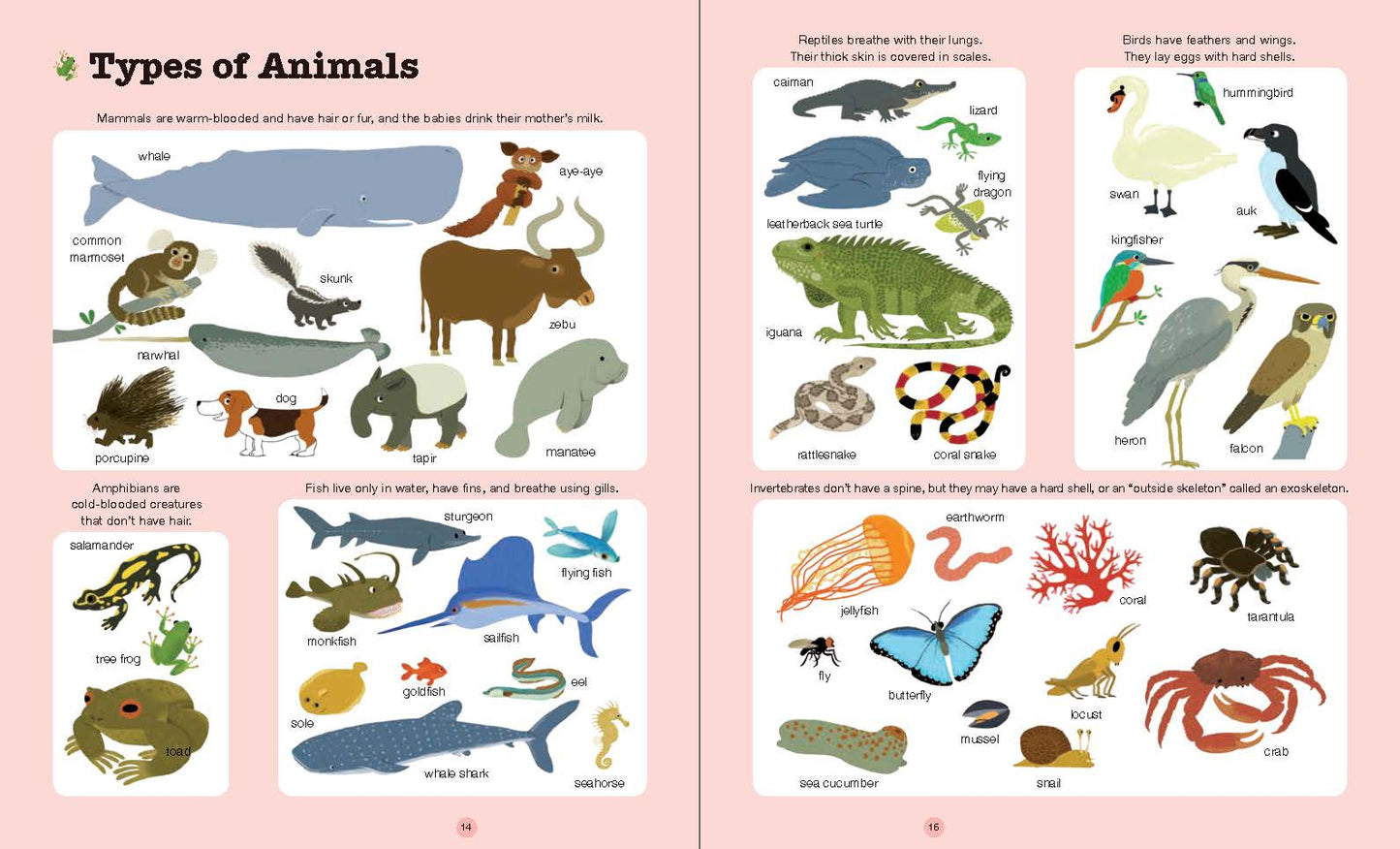 Do You Know?: Animals