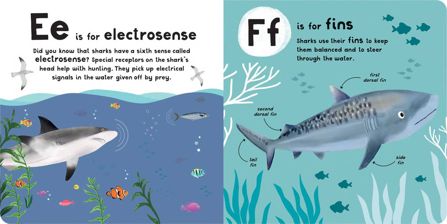 A-Z of Sharks by Editors of Silver Dolphin Books: Board Books; 30 pages / English