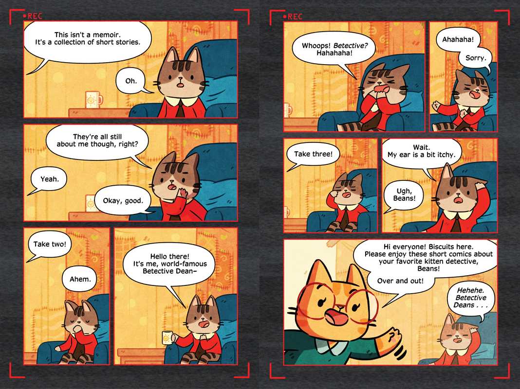 Detective Beans: Adventures in Cat Town by Li  Chen: Paperback; 208 pages / English