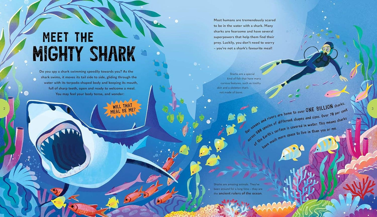 Sensational Sharks