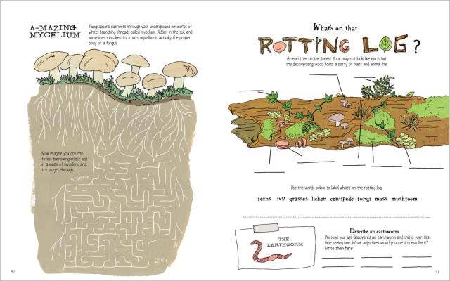 Nature Anatomy Activity Book: Trade Paperback