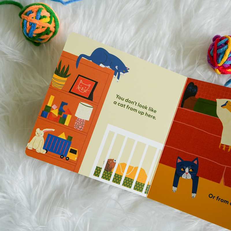 Cat's First Baby by Natalie  Nelson: Board Books; 28 pages / English