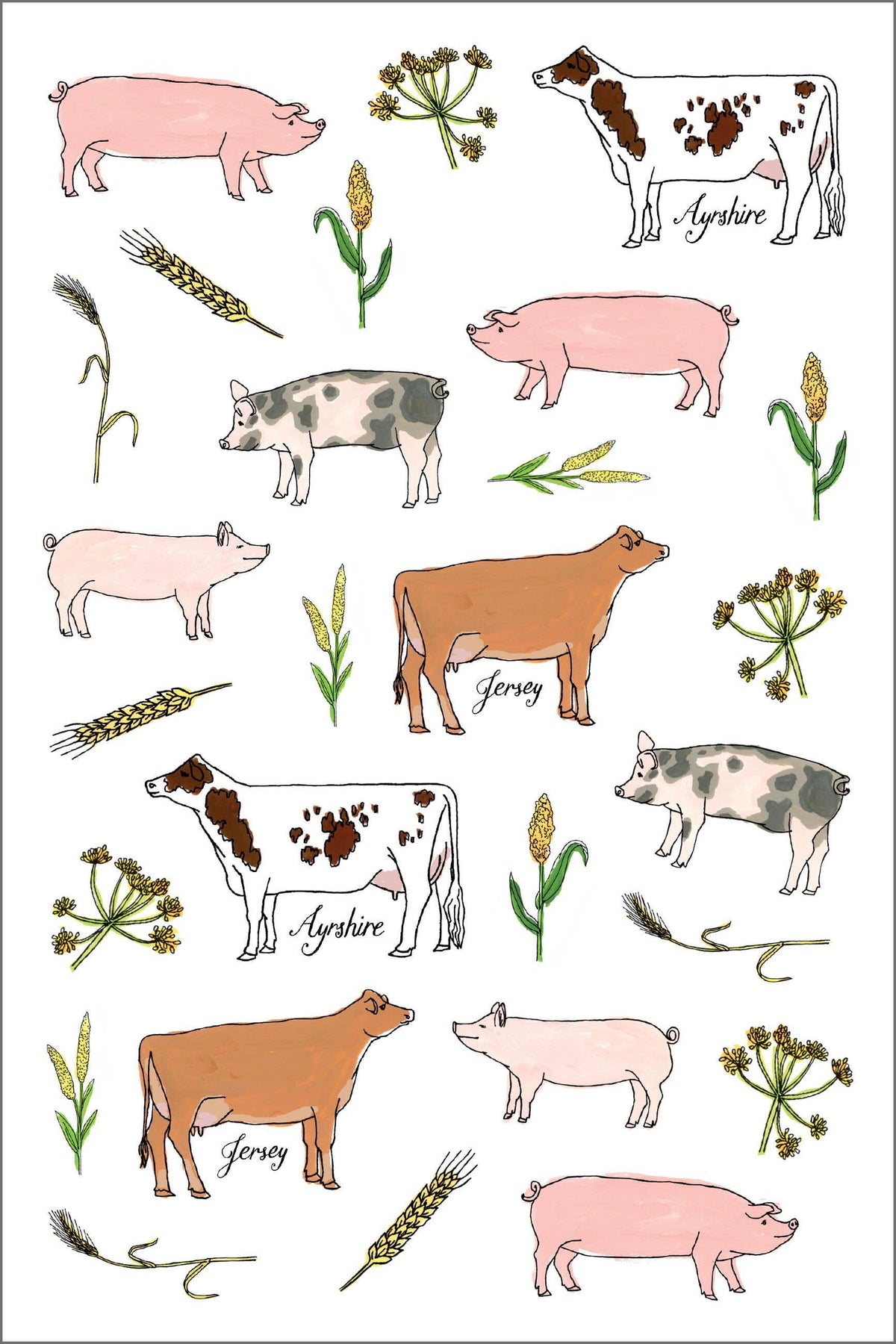 Farm Anatomy Sticker Book: Trade Paperback
