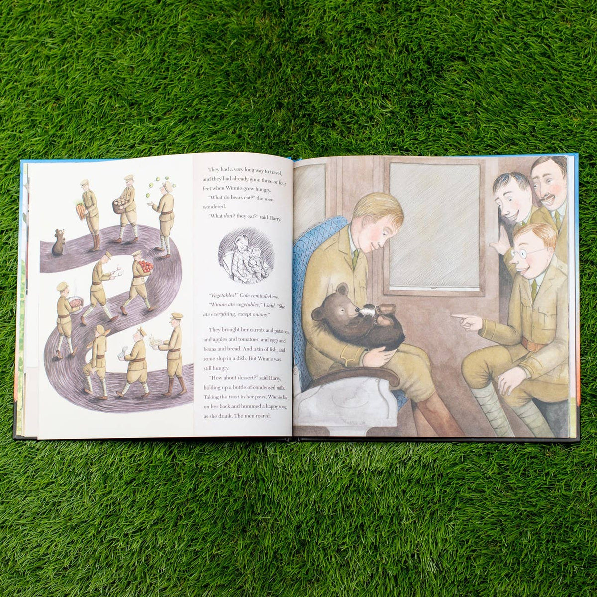 Finding Winnie: Hardcover