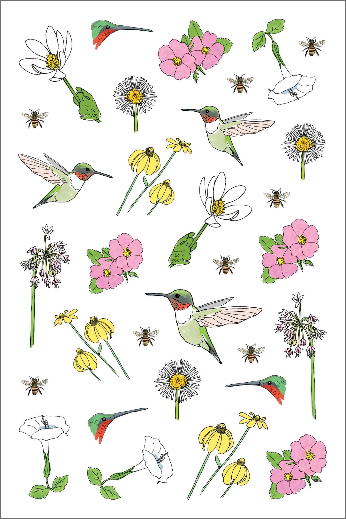 Nature Anatomy Sticker Book: Trade Paperback
