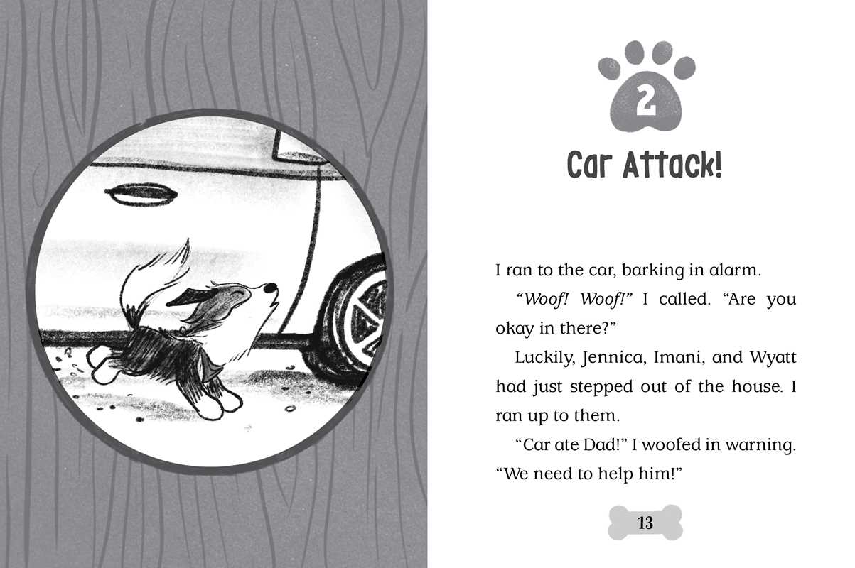Beach Paws by Cam Higgins: Paperback; 128 pages / English