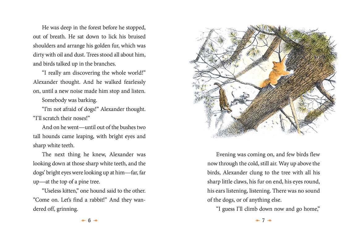 Wonderful Alexander and the Catwings by Ursula  K. Le Guin: Paperback; 56 pages / English