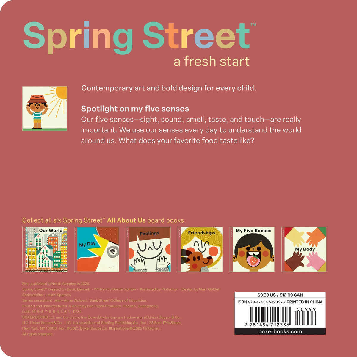 Spring Street All About Us: My Five Senses: Board Book