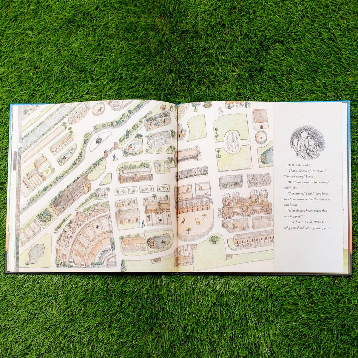 Finding Winnie: Hardcover
